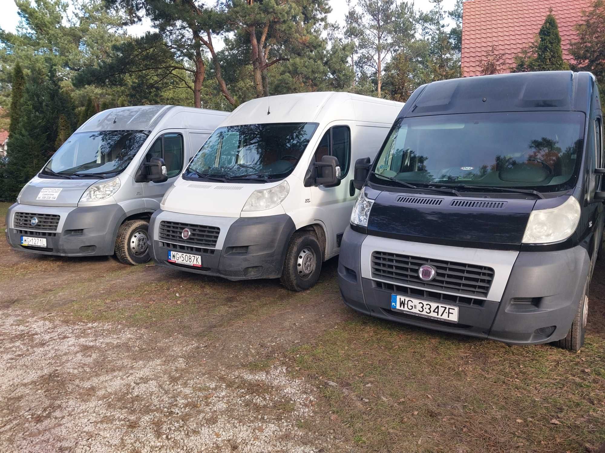 Bus / Wynajem / do wynajęcia/autolaweta/laweta