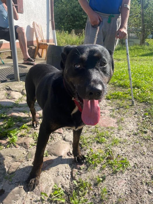 Weź mnie do domu i pokochaj!