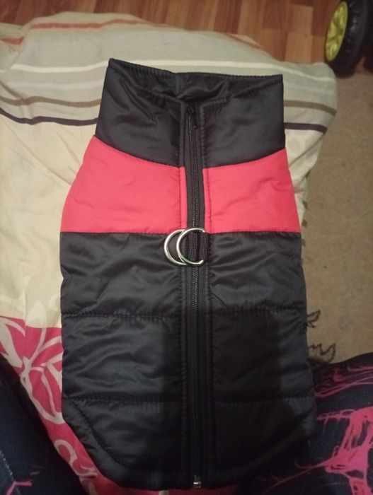 На собаку жилетка