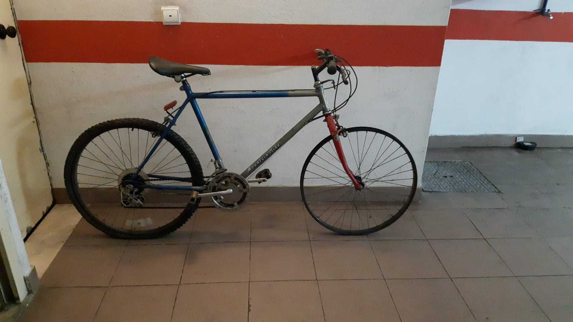 Bicicleta de adulto