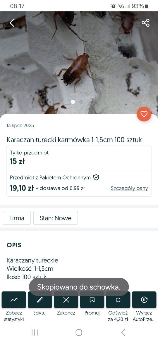 Karaczan turecki 1-1,5cm 50szt