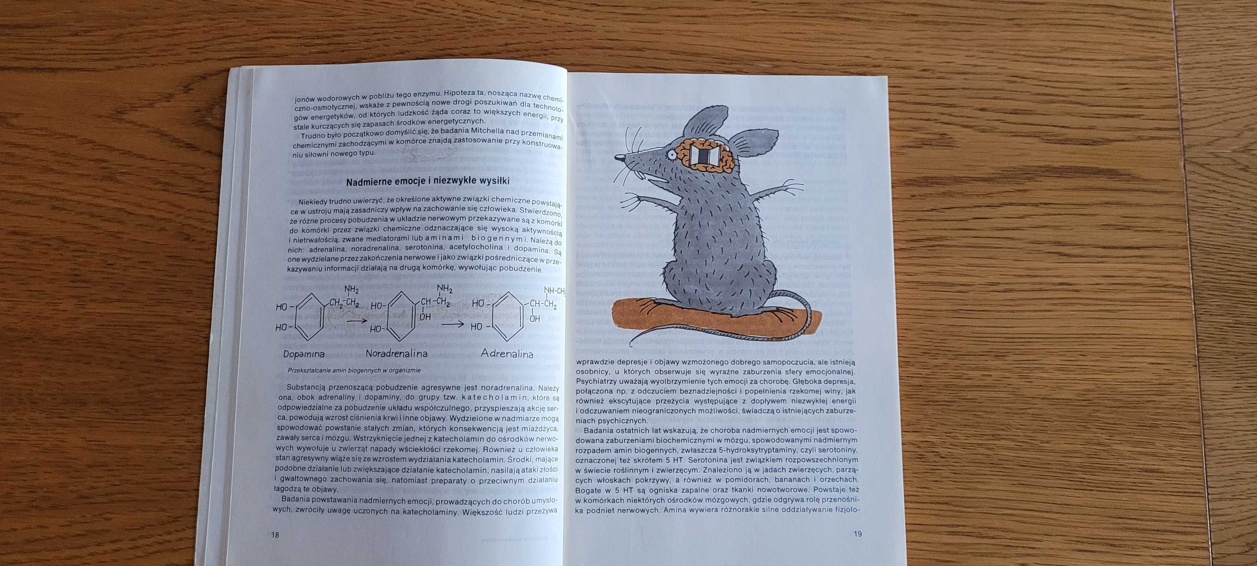 Chemiczne laboratoria Natury- ciekawostki chemiczne