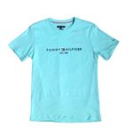 Футболка чоловіча TOMMY HILFIGER Томмі Хілфігер