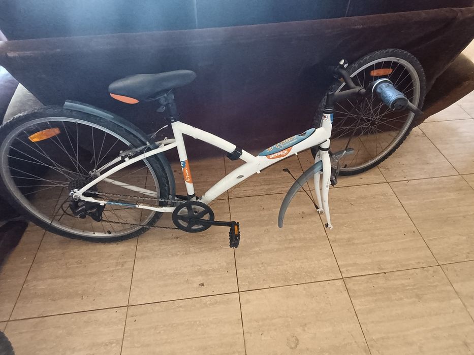 3 bicicletas 100€