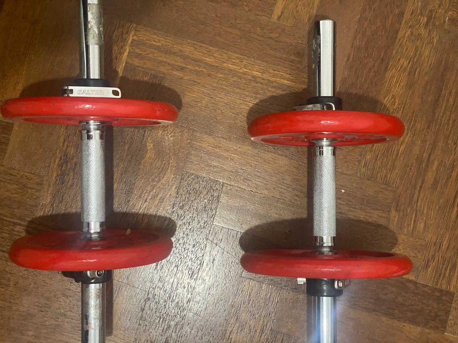 Halteres 10–12kg (com barras) – Ferro Fundido SALTER / MIRALAGO