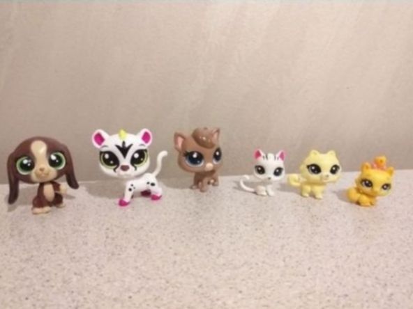 Little  Pets Shop