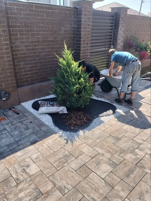 Послуги садівник вирубка чистка лікування посадка живоплоту