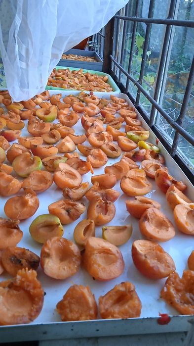 Продам дачу в Осетровке, "Мотор-5"