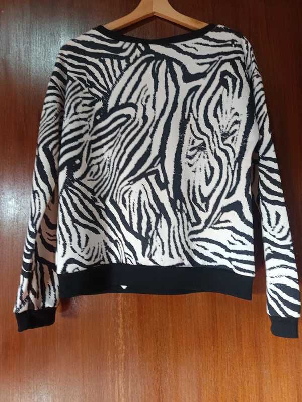 Camisola Zebra Moda Ana