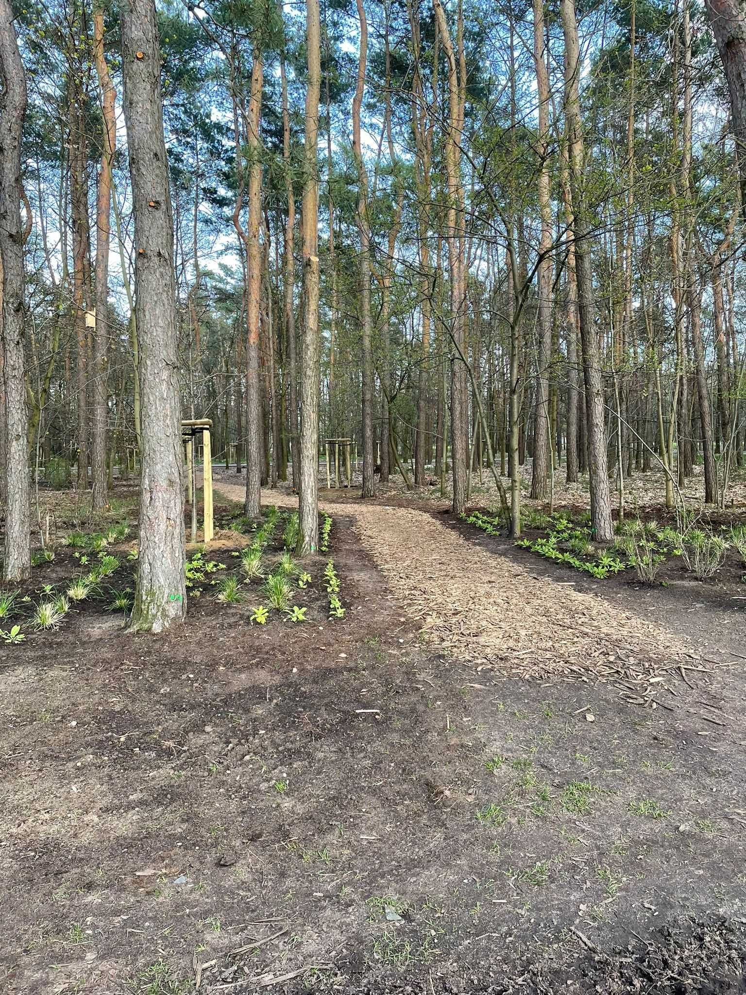 kompost organiczny, ziemia, podłoże