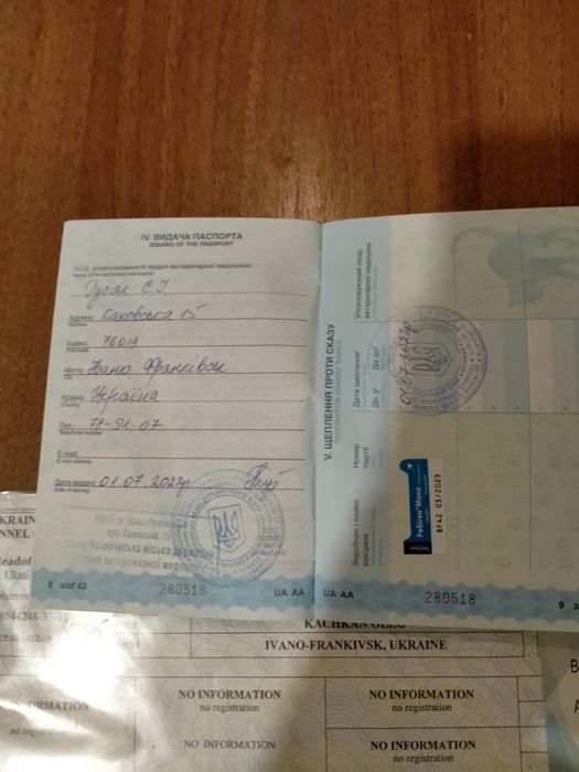 Продаю собачок джек расел