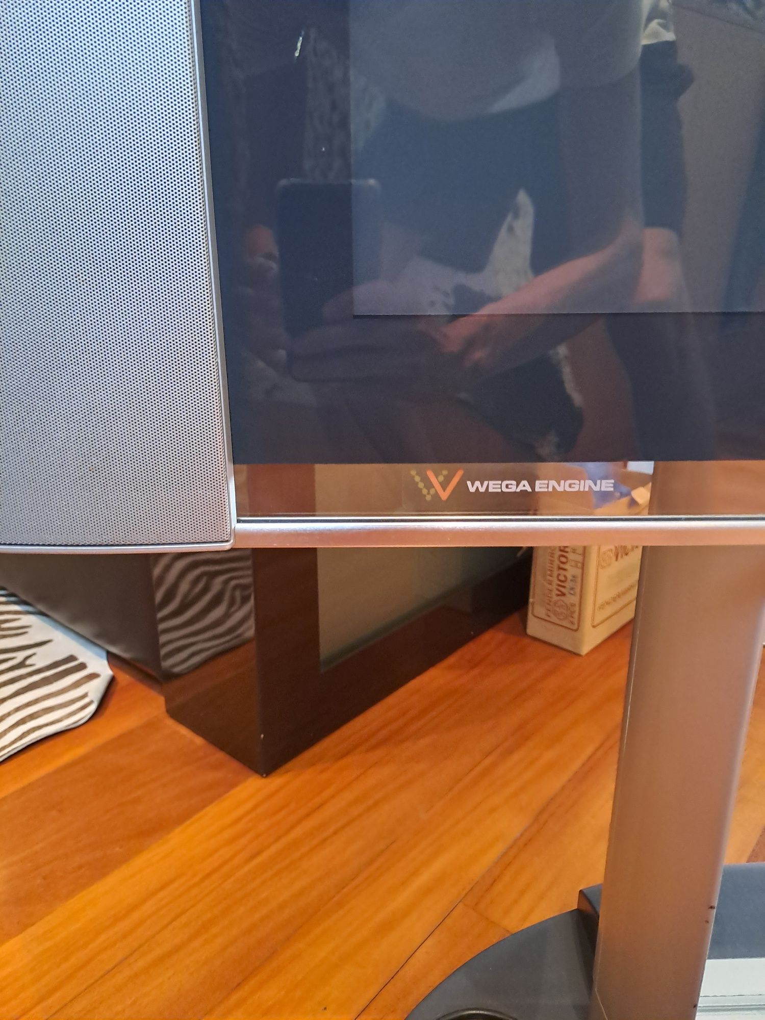 Plasma sony com comando