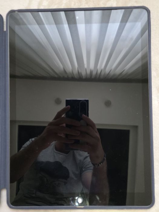 Ipad Pro 12,9 256 gb