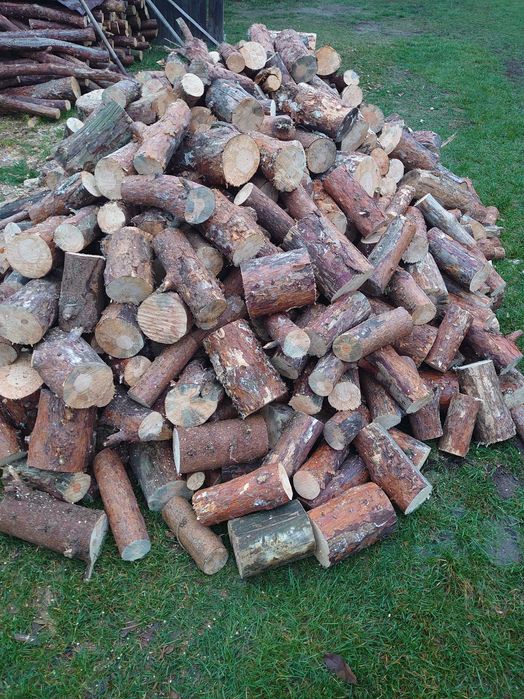 Drewno opałowe , transport gratis