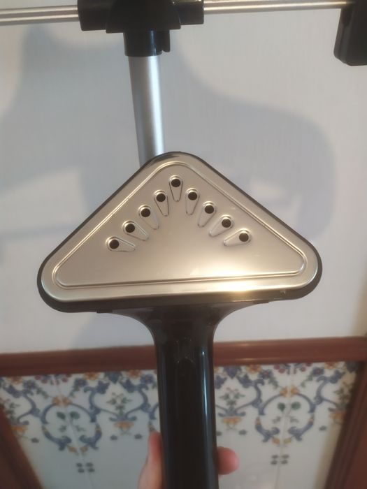 Escova de vapor vertical da marca Rowenta