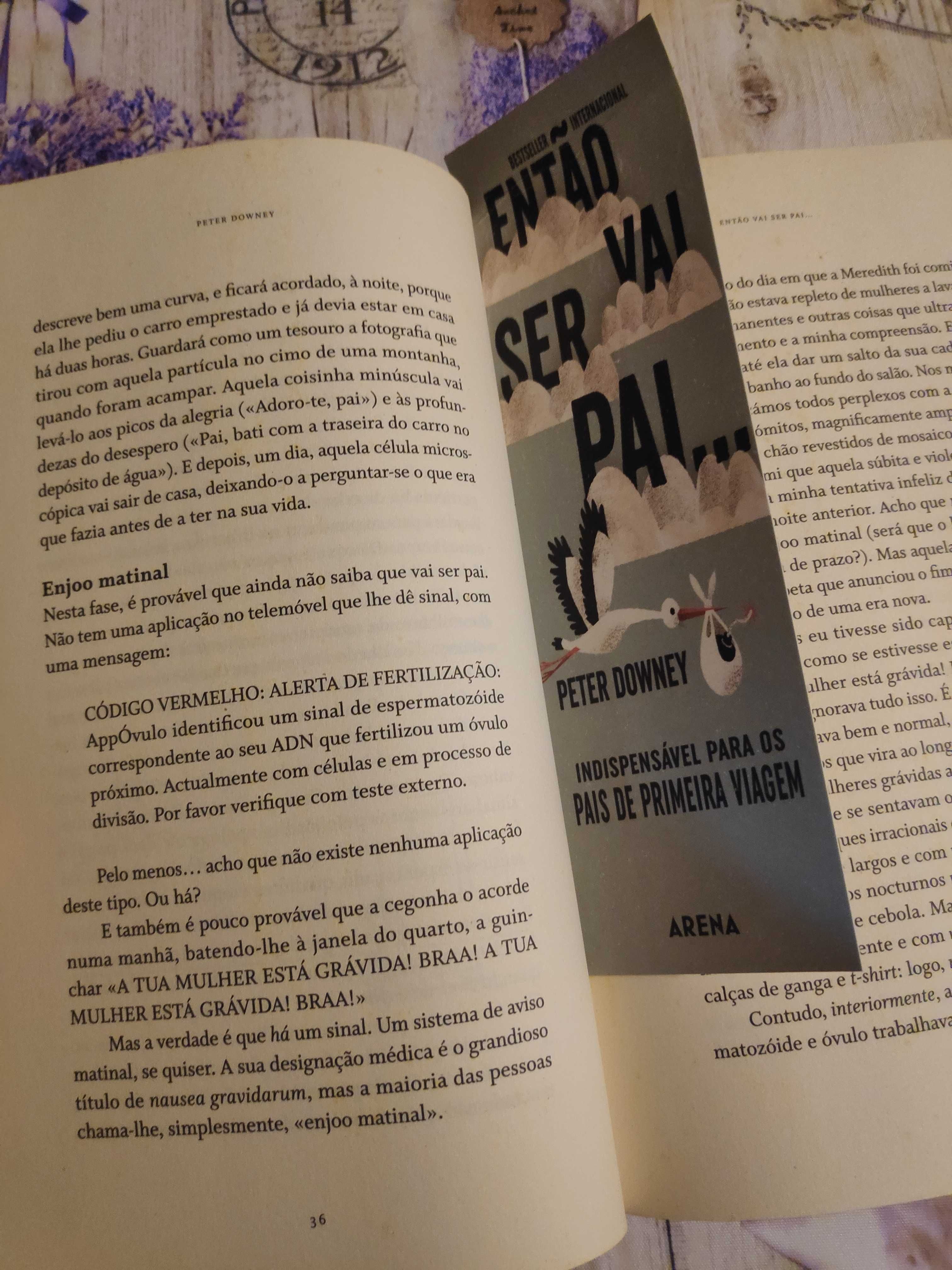 Livro "Então vai ser pai?" como novo