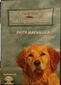 Audiobook - Garth Stein - "Sztuka ścigania się w deszczu"