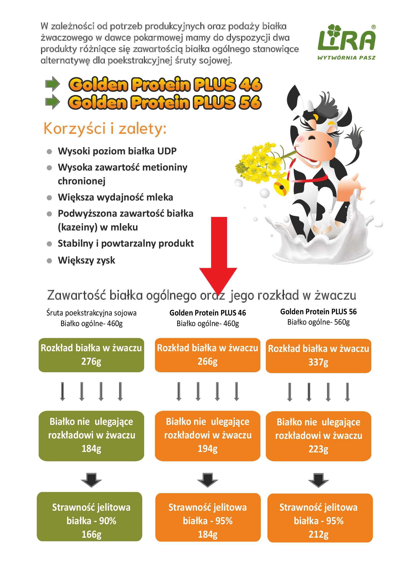 Śruta rzepakowa-Golden Protein Plus 46% białka.25kg. bez GMO