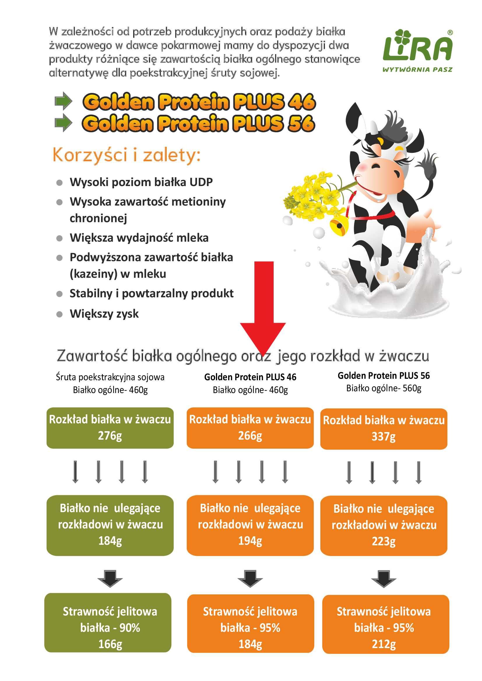 Śruta rzepakowa ekstrudowana Golden Protein 25kg, białko 34%