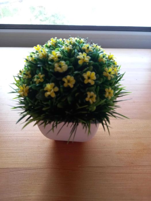 Plastikowa roślinka