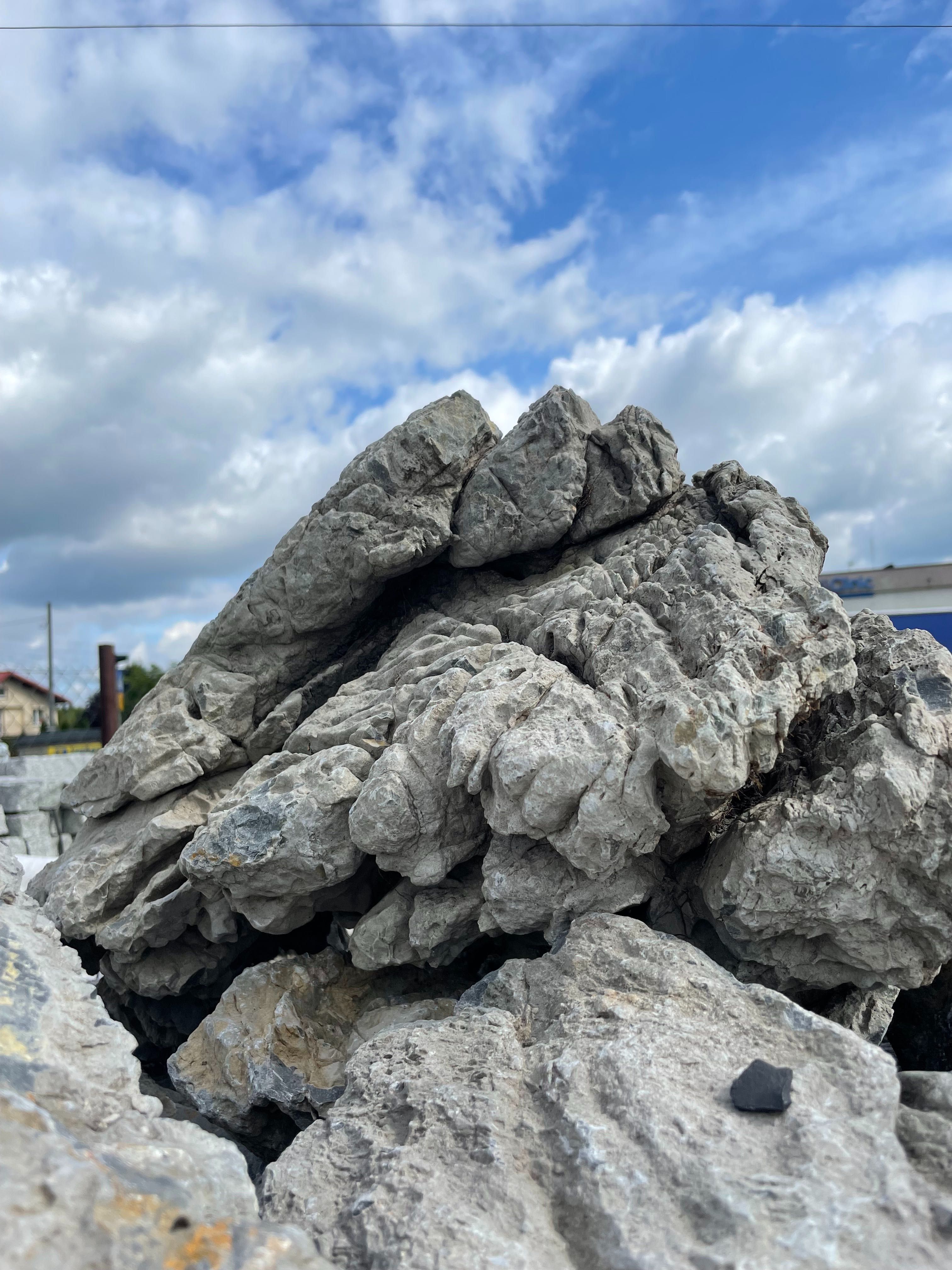 ELEPHANT SKIN Skóra Słonia Kamień Skała do Akwarium Lava Ada Iwagumi