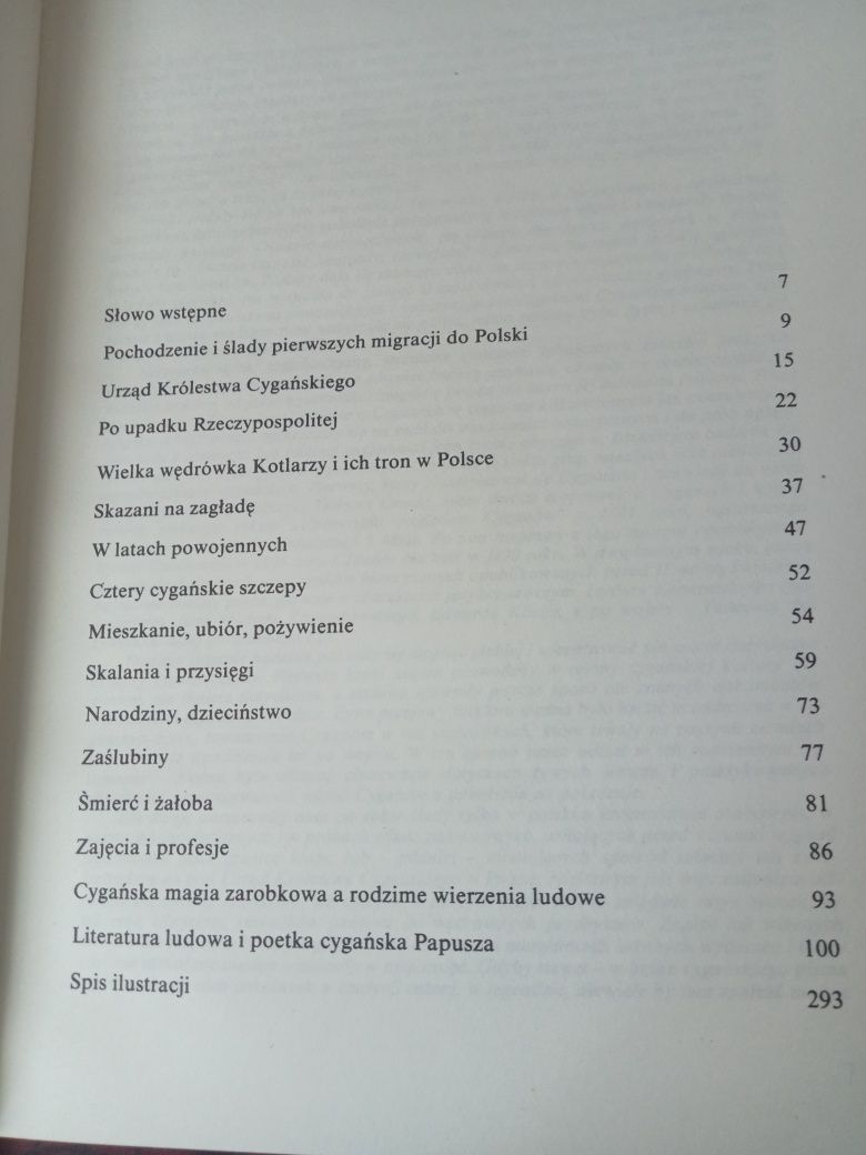 Cyganie w Polsce Dzieje i obyczaje Jerzy Ficowski