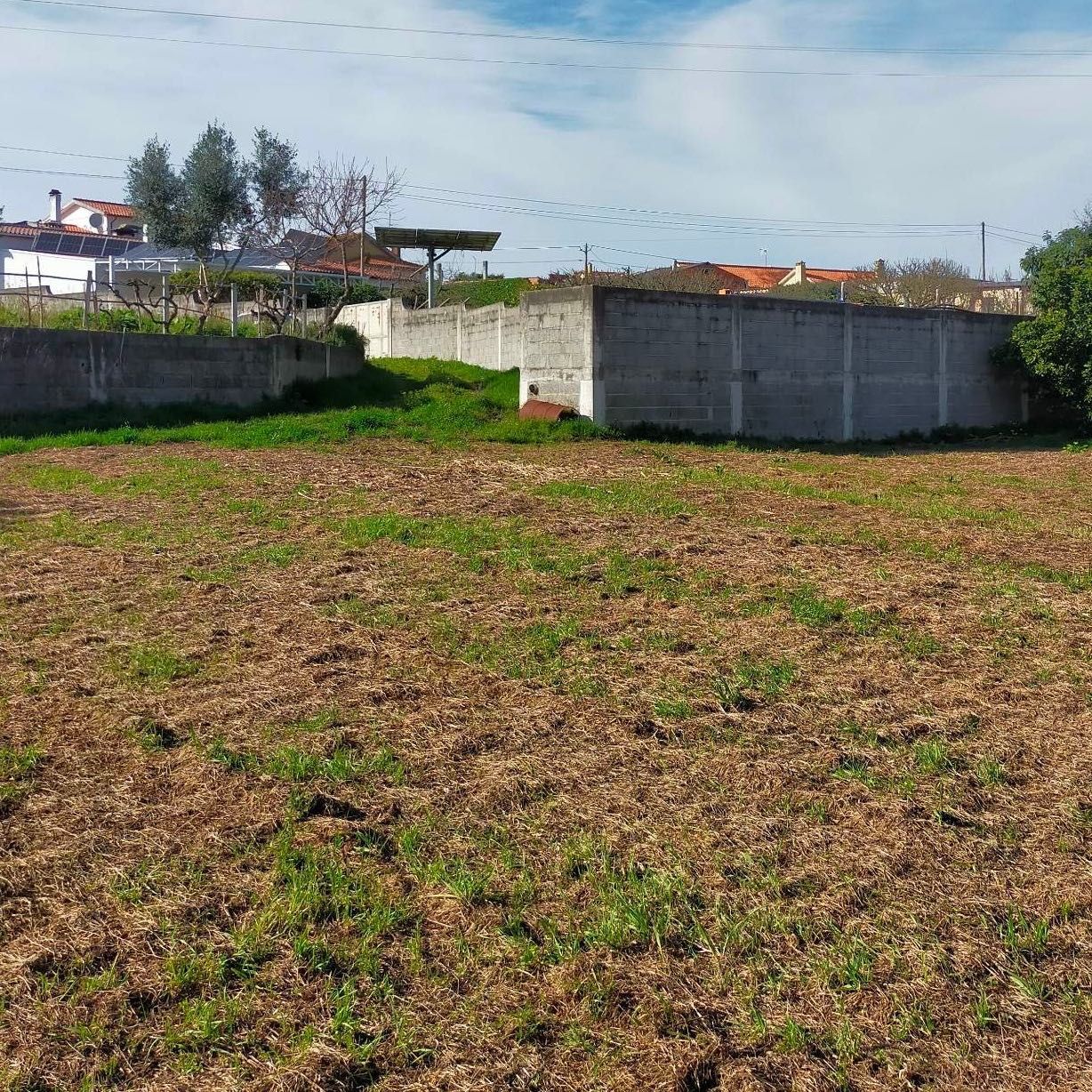 Terreno na Bidoeira de Cima (14min de Leiria) — 1500 m²