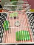 Gaiola para hamster