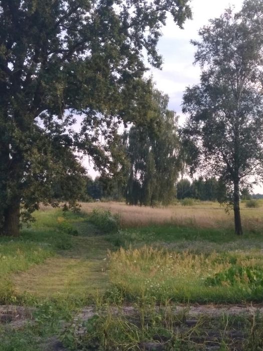 Земельна ділянка