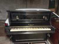 Pianos clássicos de colecção