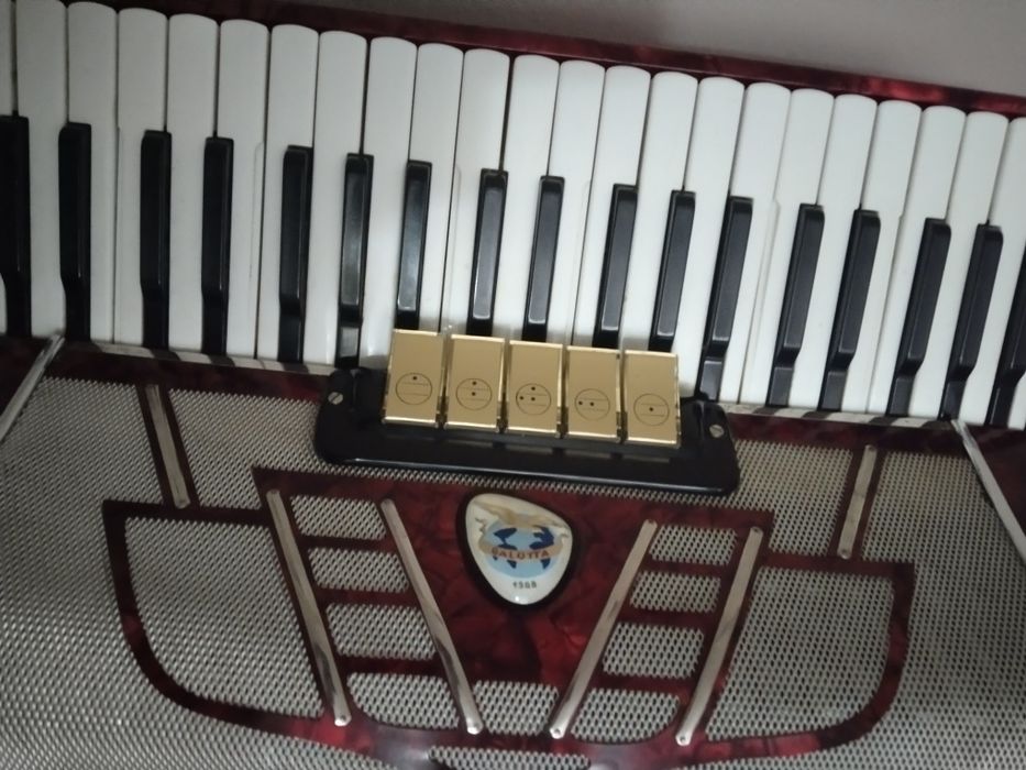 Harmonia akordeon 120 weltmeister