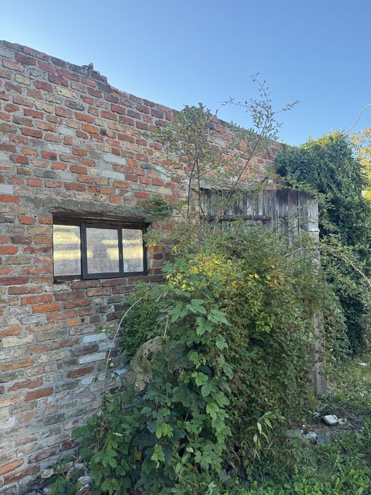 Oddam przedwojenną cegłe z budynków