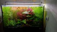 Продам полностью укомплектованный аквариум Природа на 140 литров.