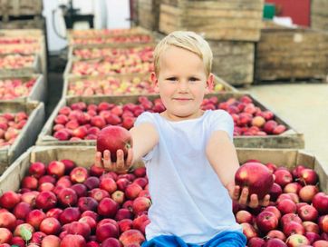 Sprzedam: Gospodarstwo Sadownicze, 11,4 ha - Potencjał Biznesowy !!!