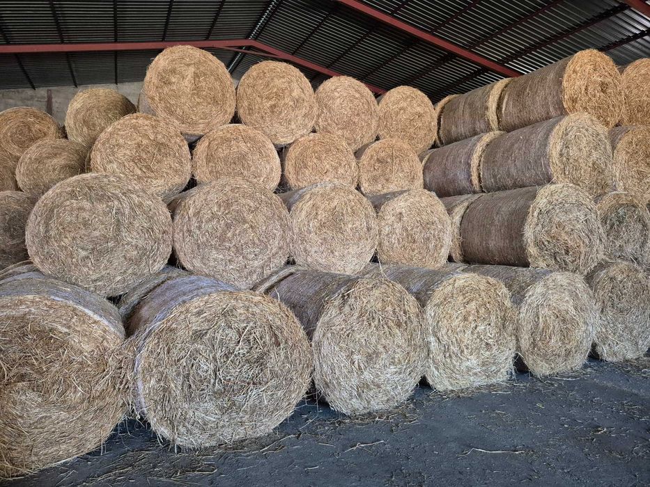 Fardos de feno 2025