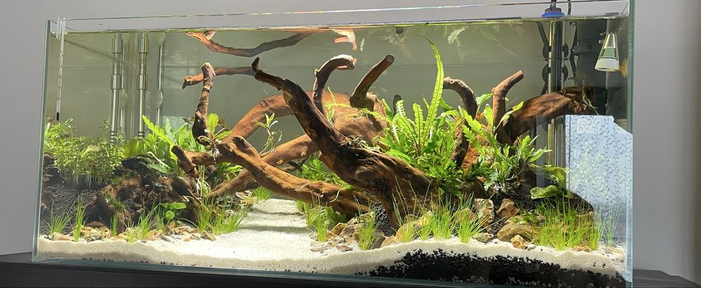 Akwarium 100 litrów optiwhite