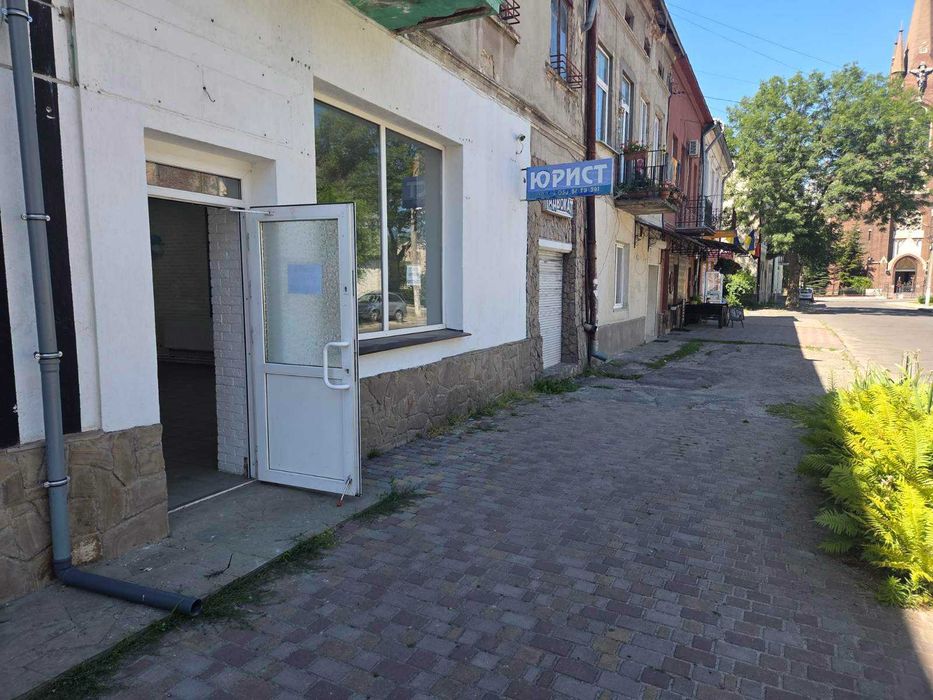 нежитлове приміщення м. Кам'янка-Бузька ( центр )