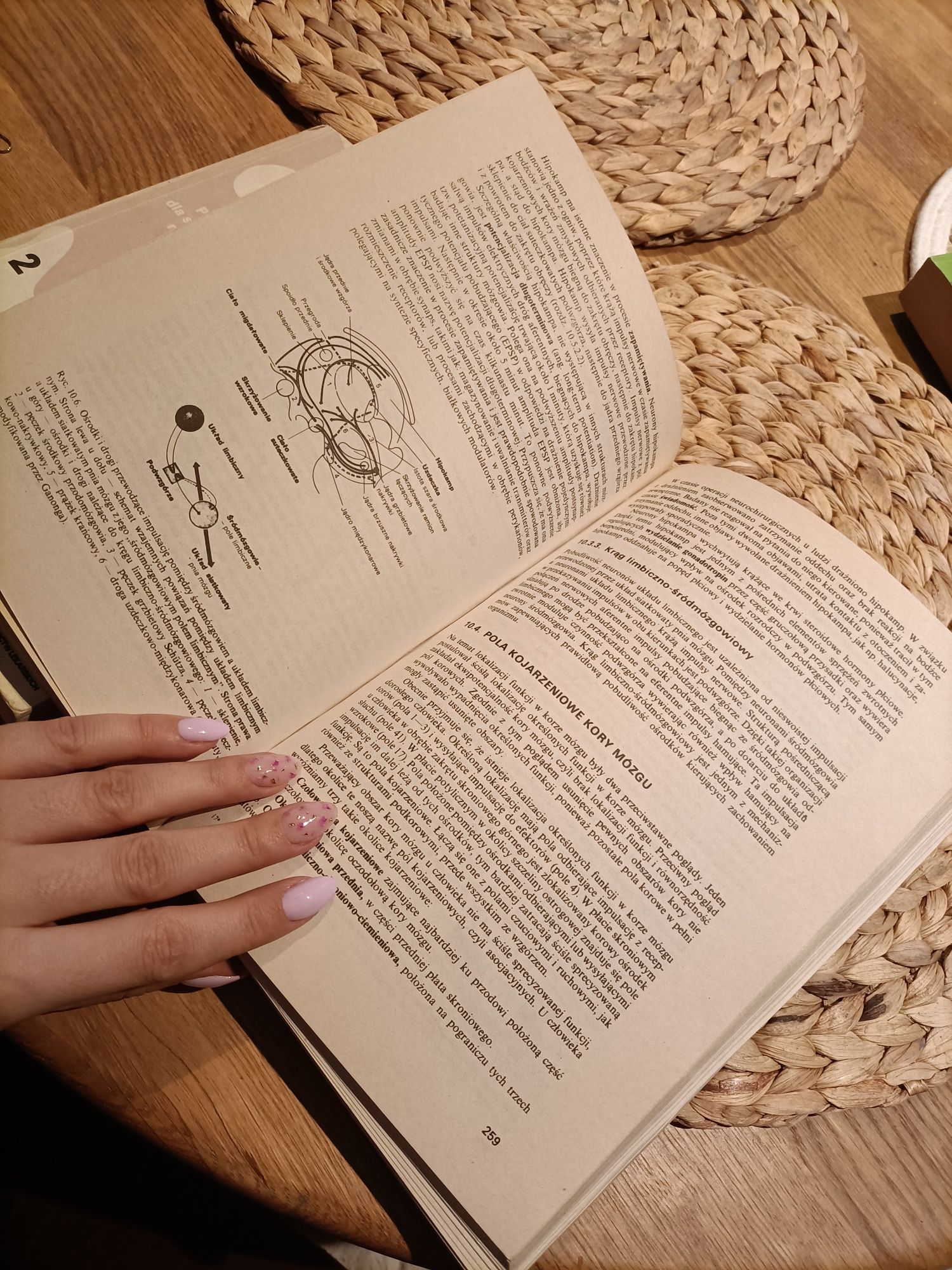 Zestaw-Fizjologia człowieka z elementami fizjologii stosowanej i klini