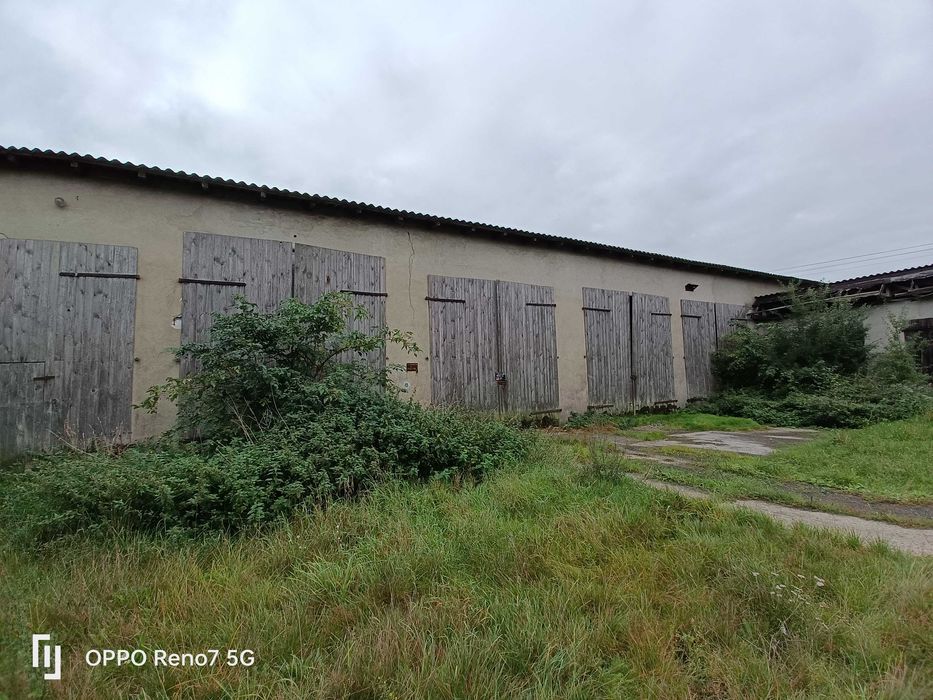 Wynajmę Hale 160 m2 lub więcej