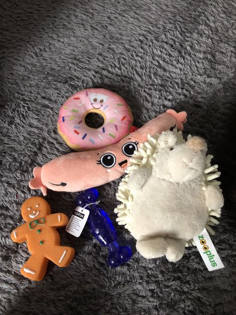 Zabawki dla psa różne