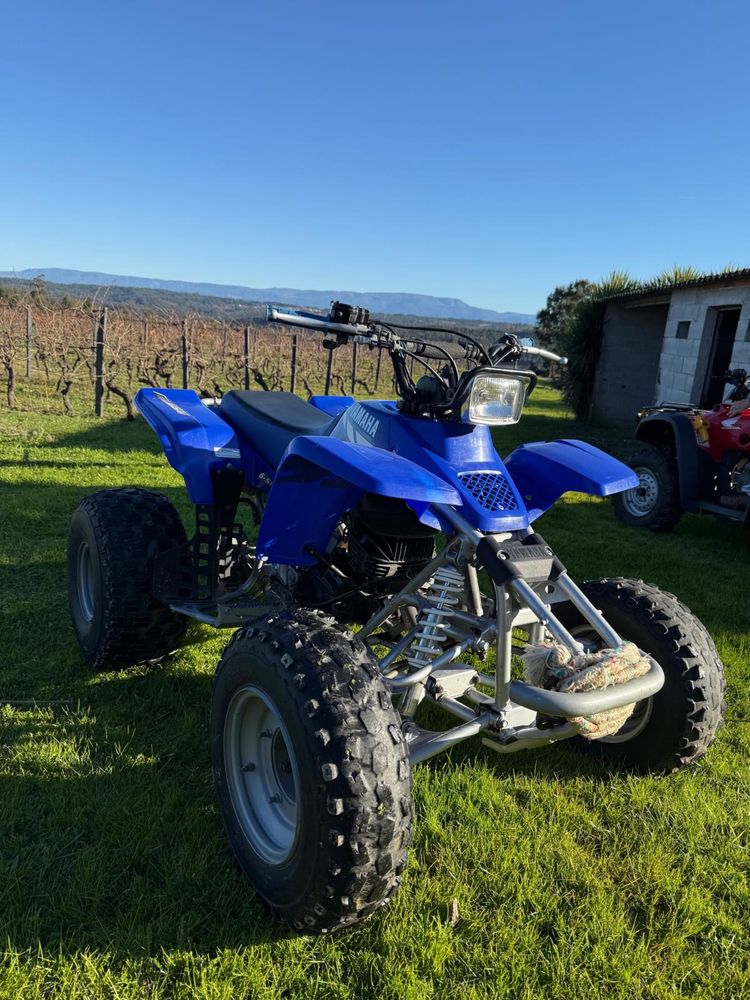Yamaha YFS 200 Blaster