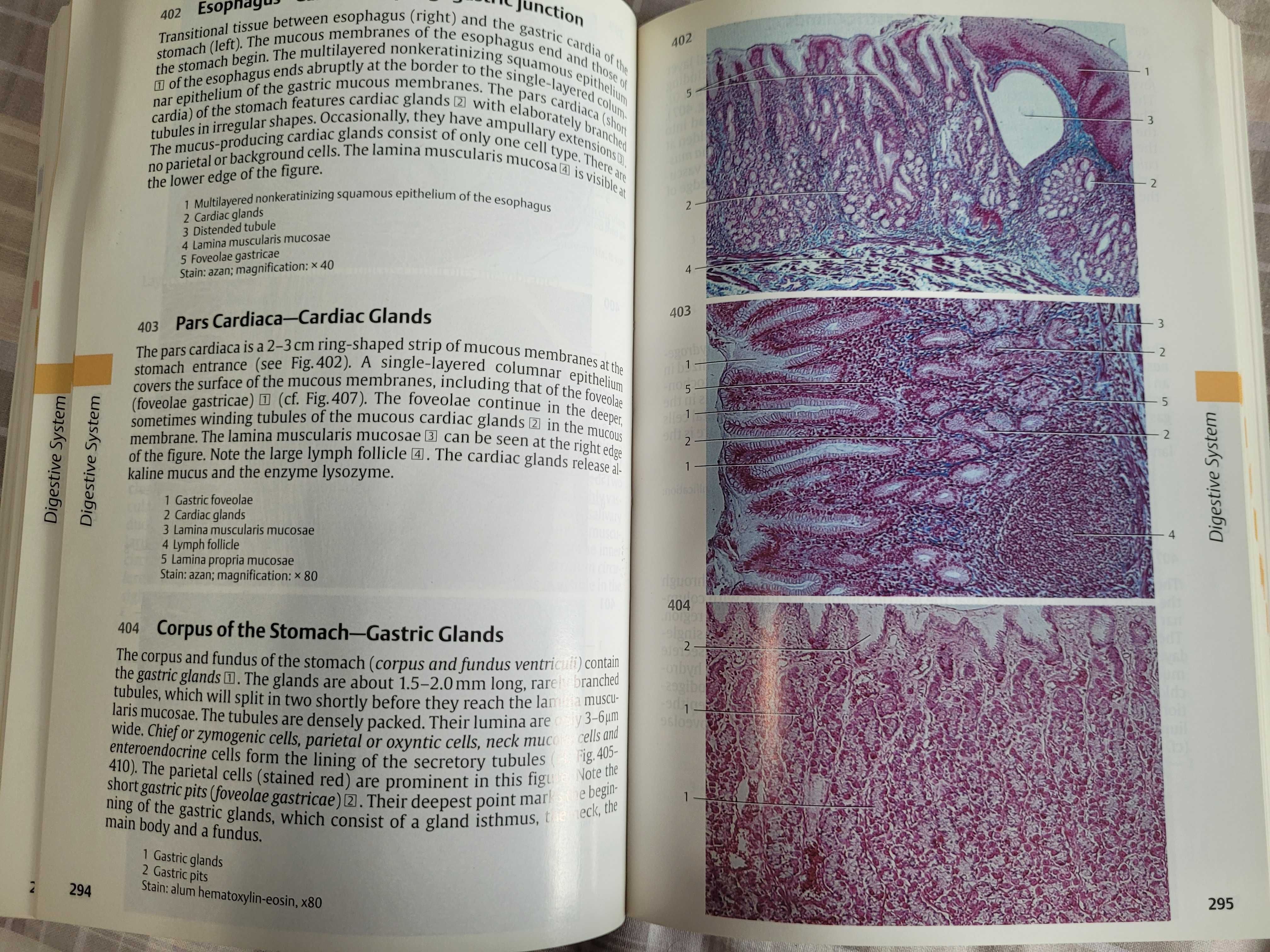 Medicina "Color Atlas of Citology, Histology and ..." da Thieme