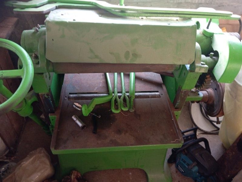 Grubościówka zielona