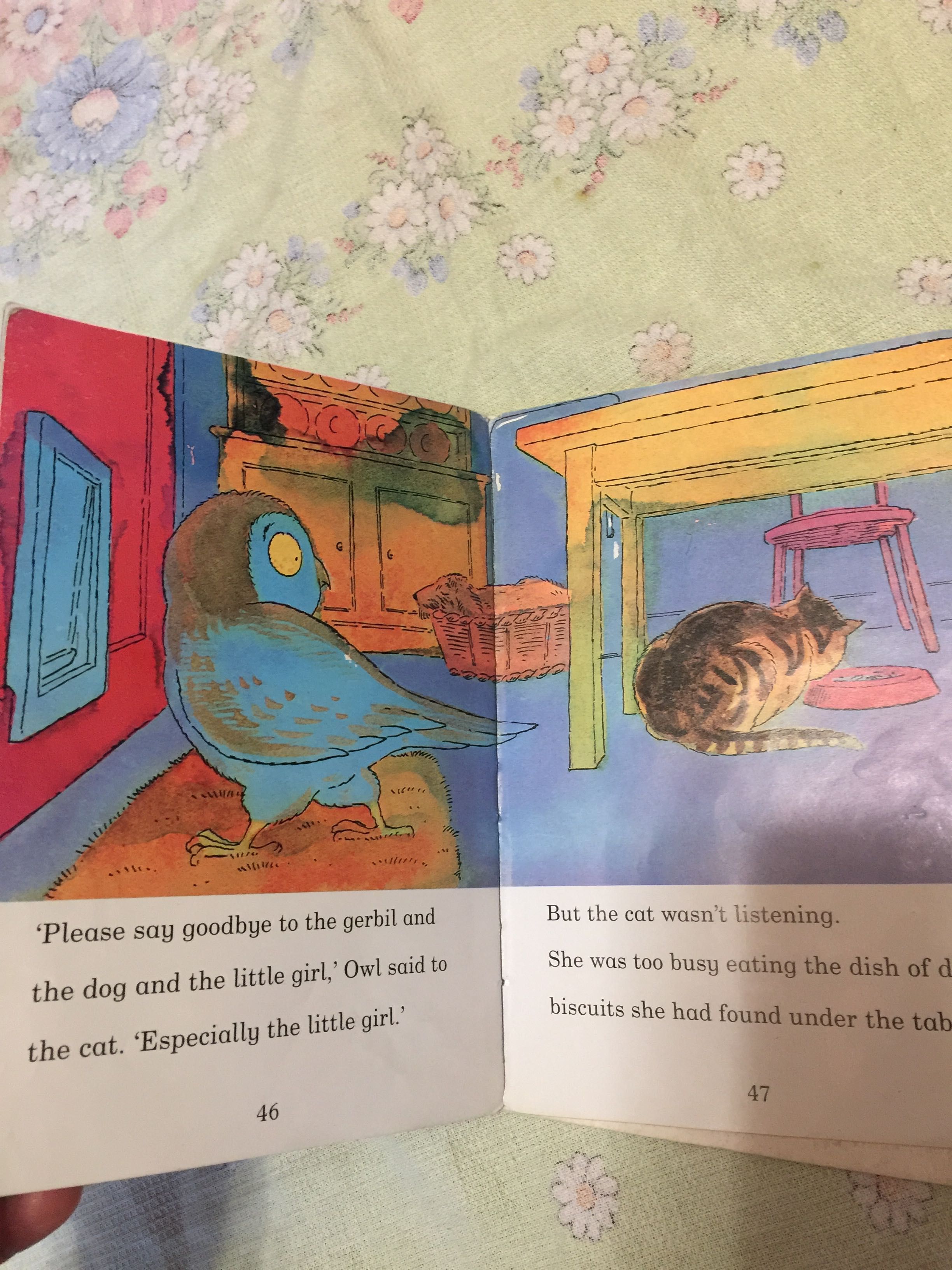 Книга для детей на английском "Сова в доме"