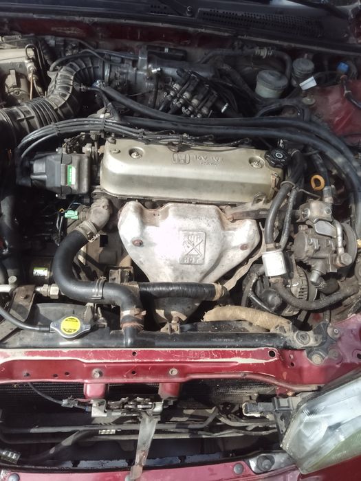 Honda Accord 1997