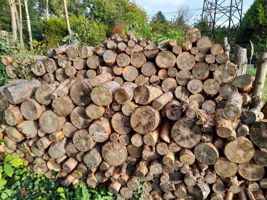 Drewno opałowe sosna