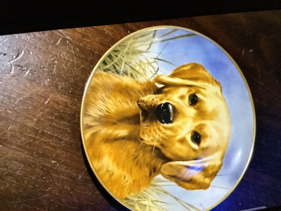 Conjunto de 3  pratos decorativos