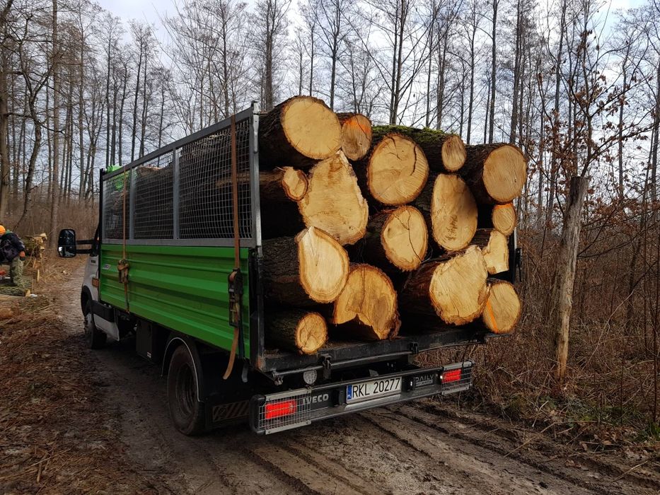 Drewno Opał kominek suche ( Mielec Tarnobrzeg Sokołów Sędziszów)