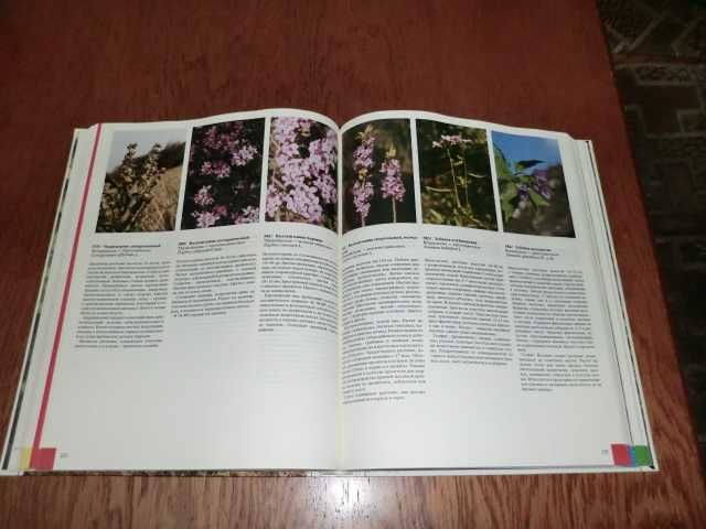 Книга Цветовой атлас растений