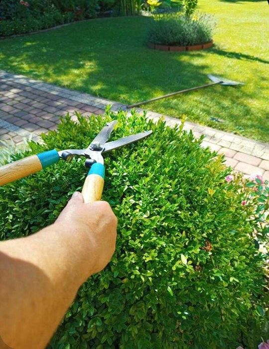 Construção Civil, Jardins, Ar Condicionado e instalações elétricas